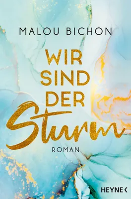 Produktbild von Wir sind der Sturm