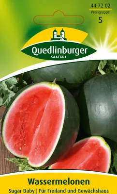 Produktbild von Quedlinburger Saatgut - Wassermelonen Sugar Baby - Samen - 447202