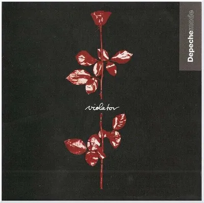Image de Depeche Mode-Violator