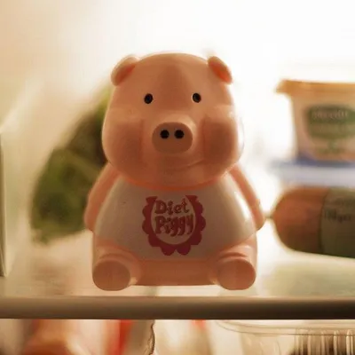 Produktbild von Grunzschwein für den Kühlschrank