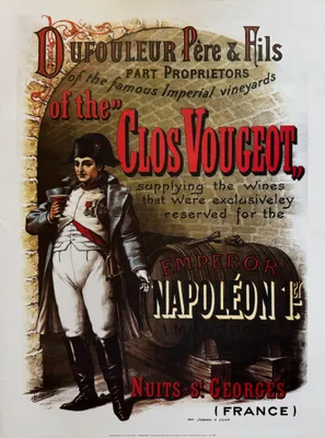 Immagine prodotto di Dufouleur Père & Fils - Clos Vougeot - Poster 50x70 cm