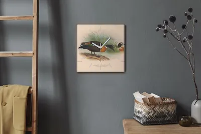 Produktbild von Coloray Hodiny Unikátní 30x30 cm  Tiché hodiny Pro obývací pokoj a kuchyň Nástěnné hodiny Plátno Bílé ručičky hodin - Ptáci zvířata
