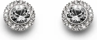 Produktbild von Earrings More Basic 9891R