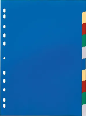 Produktbild von DURABLE Register A4 10-tlg., 674027 mehrfarbig