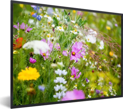 Produktbild von MuchoWow® Gerahmtes Poster Blumen - Natur - Grün - Gras - Lila - Weiß 80x60 cm - Poster mit Schwarzem Bilderrahmen Wandposter Rahmen Foto Bilder - Schwarzem - Mit Gestell