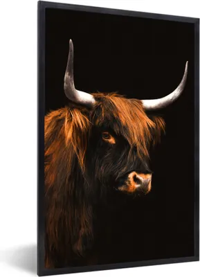Produktbild von MuchoWow® MuchoWow® Gerahmtes Poster Schottisches Hochlandrind - Schwarz - Fell 60x90 cm - Poster mit zchwarzem Bilderrahmen - Kunst