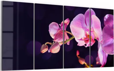 Produktbild von DEQORI Glasbild Echtglas 4x30x60 cm 'Orchideenblütenzweig' Wandbilder XXL groß