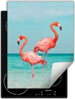 Produktbild von DarHaus Herdabdeckplatte Einteilig Küche Abdeckplatte für Glaskeramikkochfeld Abdeckung Induktionskochfeld Aufrollbare Matte 40x52 cm, Strand - Flamingo