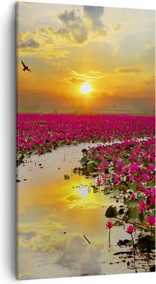 Produktbild von Bild auf Leinwand - Leinwandbild - See Blumen - 45x80cm - Wand Bild - Wanddeko - Wandbilder - Leinwanddruck - Bilder - Kunstdruck - Wanddekoration - Leinwand bilder - Wandkunst - PA45x80-3769