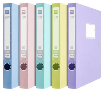 Immagine prodotto di Set di 5 portafogli in plastica formato A4 con chiusura a strappo