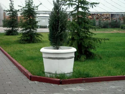 Immagine prodotto di Vasi per piante, fioriere, decorazioni, statuine, vasi da giardino, vasi, contenitori – modello 563
