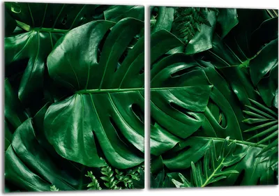 Produktbild von Herdabdeckplatten Set 2x40x52 cm Glaskeramikkochfeld Abdeckung Glas Spritzschutz, Monstera Grün