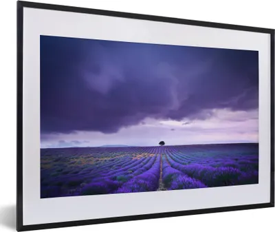 Produktbild von MuchoWow® MuchoWow® Gerahmtes Poster Lila Wolken über Lavendelfeldern 60x40 cm - Poster mit zchwarzem Bilderrahmen - Schlafzimmer - Plakat in Rahmen - Drucken