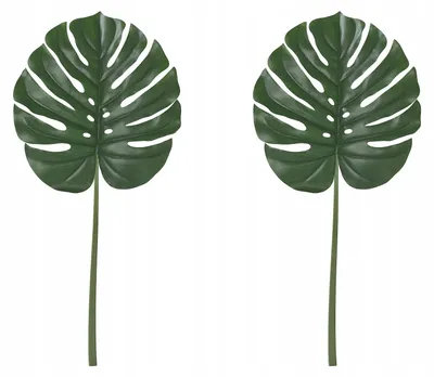 Produktbild von IKEA SMYCKA Künstliches Monstera-Blatt Grün 80 cm