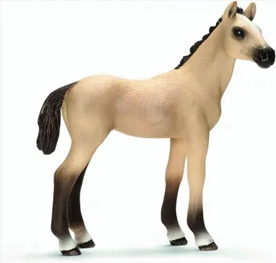 Image de SCHLEICH 13702 - Achal Tekkiner Poulain