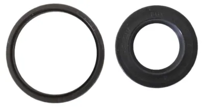 Image de ATHENA P400325450001 : Kit de joint d'étanchéité d'huile pour vilebrequin, compatible avec Malaguti