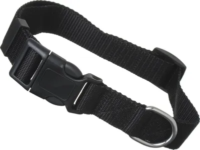 Produktbild von scarlet pet | Hundehalsband »Universal« mit Klickverschluss und Längenverstellung; diverse Farben und Größen; robustes Nylon, Größe:(XS) 21-32 x 1 cm, Farbe:Schwarz