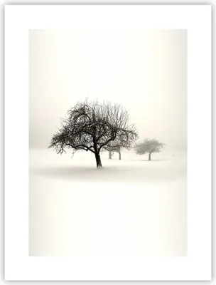 Produktbild von Poster - Poster ohne Rahmen - Bäume Schnee Nebel - 30x40 cm - Wand Bild - Wanddeko - Wandbilder - Kunstposter - Wandposter - Bilder - Kunstdruck - Wanddekoration - Wandbild - P2XPA30x40-4136