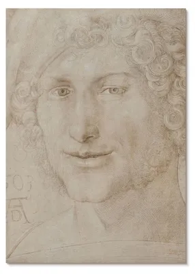 Zdjęcie produktu dla PLAKAT – 59 x 84 cm (A1) – Albrecht Dürer – Głowa młodego mężczyzny (1503) autorstwa Albrechta Dürera – dekoracja ścienna do salonu, sypialni i przedpokoju, nowoczesny plakat, bez ramy