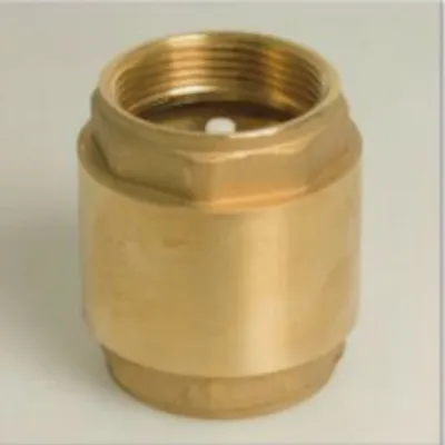Image de Mega Clapet anti-retour à ressort laiton 1 1/4 pouce filetage femelle 10bar type 5