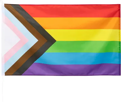 Obrázek produktu pro Polyesterová vlajka Progress 150 x 90 cm - vlajka LGBTQ+