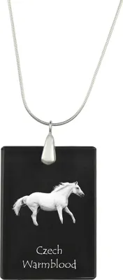 Zdjęcie produktu dla Czeski kowboj – wiszący amulet z motywem konia, srebrny naszyjnik z możliwością umieszczenia zdjęcia, personalizowany amulet marki Art-Dog