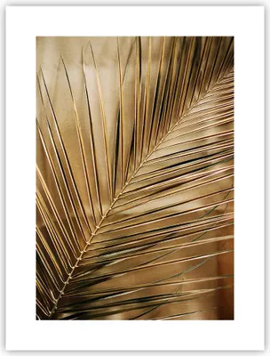 Produktbild von Poster - Poster ohne Rahmen - Blatt Gold Pflanze - 30x40 cm - Wand Bild - Wanddeko - Wandbilder - Kunstposter - Wandposter - Bilder - Kunstdruck - Wanddekoration - Wandbild - P2XPA30x40-5041