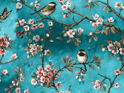 Produktbild von PVC Tischdecke Polly Vogel Türkis Wachstuch · Breite & Länge wählbar· abwaschbare Tischdecke · Kirschblüten Rosa Japan Meise  , Größe:100 x 100 cm