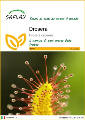 Immagine prodotto di SAFLAX  - Drosera - 200 semi - Drosera