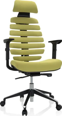 Produktbild von hjh OFFICE Profi Bürostuhl ERGO LINE II PRO Ergonomischer Schreibtischstuhl mit Armlehnen (höhenverstellbar) Stoff Grün Drehstuhl für Büro, Zuhause