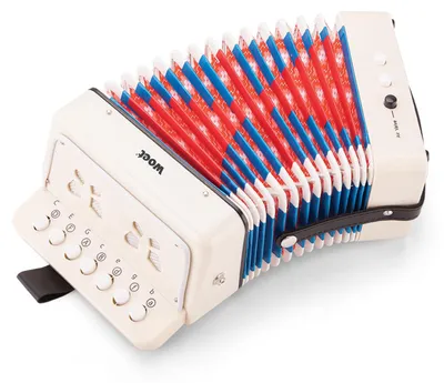 Immagine prodotto di New Classic Toys Fisarmonica con libretto di spartiti - bianco