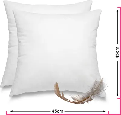 Produktbild von 2 Stück / 2er Set Federkissen 100% Federn 45x45 - 500g OEKO-TEX Kissen / Füllkissen mit Bezug aus 100% Baumwolle weiß / Innenkissen / Kissenfüllung / kleine Sofakissen (viele Maße)