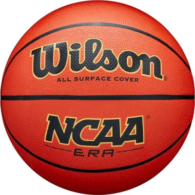 Zdjęcie produktu dla Piłka Wilson WZ3017201XB