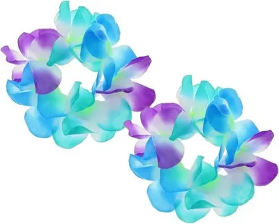 Produktbild von Hawaii-Armbänder Blau Lila 2 Stück.