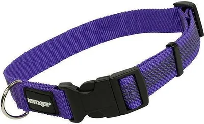Produktbild von Mystique Gummiertes Halsband 30-40cm 25mm lila