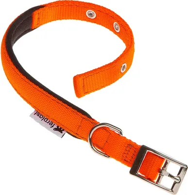 Immagine prodotto di Collana Ferplast Daytona C20 43 Arancio