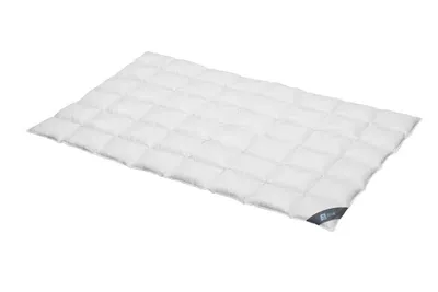 Produktbild von Daunendecke 200x220 cm 60 % Daunen Medium Bettdecke Steppdecke Daunen SPESSARTTRAUM BLUE