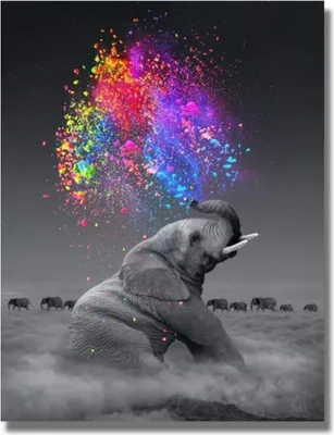 Produktbild von TPFLiving Kunstdruck LW-732 (OHNE RAHMEN) Poster - Leinwand - Wandbild - Hochauflösender Giclée-Druck, langlebig und hochwertig - Grauer Elefant mit bunten Regenbogen Farben - Größe: 60x90cm