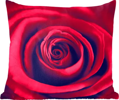 Produktbild von MuchoWow® Zierkissen Sofakissen Wohnzimmer Dekokissen 45x45 cm Rosen - Rot - Blumen - Schlafpolster - Polster für das Sofa