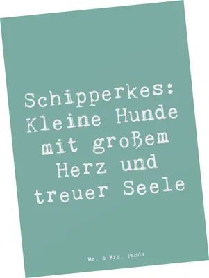 Produktbild von Mr. & Mrs. Panda bildkarte Spruch Schipperkes Herz - Meeresbrise - Geschenk, Postkarte, Ansichtskarten, Hunderasse, treuer Begleiter, Postkarten, Hunderassen, Grußkarte