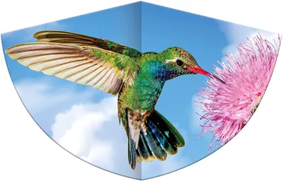 Produktbild von Paul Günther 1178 - Kinderdrachen mit einem Kolibri als Motiv, Einleinerdrachen aus robuster PE-Folie mit verstellbarer Drachenwaage, für Kinder ab 4 Jahre mit Wickelgriff und Schnur, ca. 75 x 48 cm groß