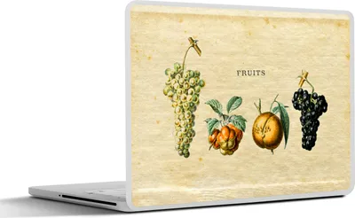 Produktbild von MuchoWow® Laptop Aufkleber Sticker Cover Obst - Weintraube - Weinlese 25x18 cm - Laptop-Deko