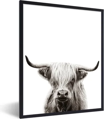Produktbild von MuchoWow® Gerahmtes Poster Schottischer Highlander - Tiere - Schwarz - Weiß 60x80 cm - Poster mit Schwarzem Bilderrahmen Wandposter Rahmen Foto Bilder - Premium - Wanddeko Wohnzimmer