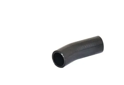 Produktbild von BUGIAD 88697 Turbo Ladeluftschlauch für FORD TRANSIT CONNECT (P65, P70, P80)