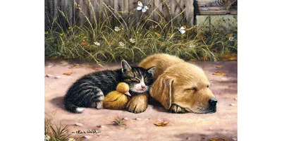 Image de Peinture au numéro Sleepy Day PJL-28