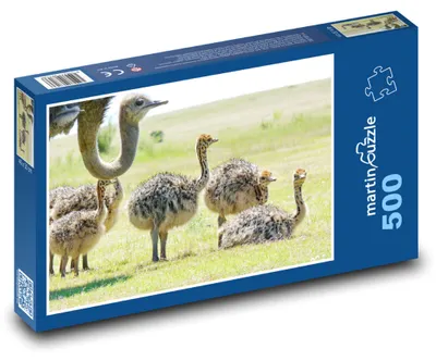 Obrázok produktu pre martinpuzzle - Puzzle 500 - Štrúc s mládatami