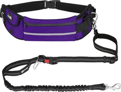 Produktbild von Famanu Joggingleine für Hunde mit Bauchband - elastische Leine für große und mittelgroße Hunde