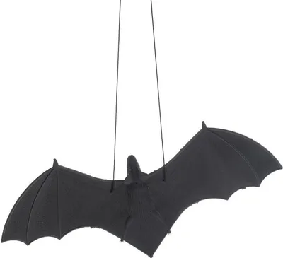 Obrázek produktu pro Netopýr