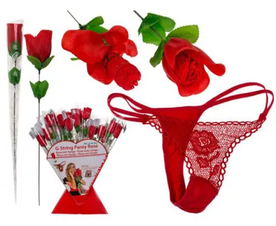 Produktbild von OOTB - Höschen in Rose - 4029811158034