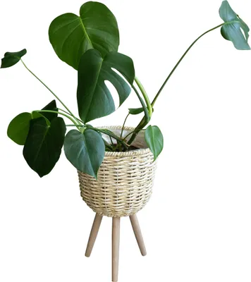 Produktbild von QUVIO Pflanzkorb auf Stativ - Blumentöpfe für drinnen - Blumentöpfe für draußen - Pflanzgefäß für draußen - Pflanzenhalter - 26 x 41,5 cm (dxh)